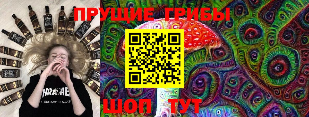 Псилоцибиновые грибы GOLDEN TEACHER  Галлюциногенные грибы Cubensis  Усолье-Сибирское  Вход с VPN 